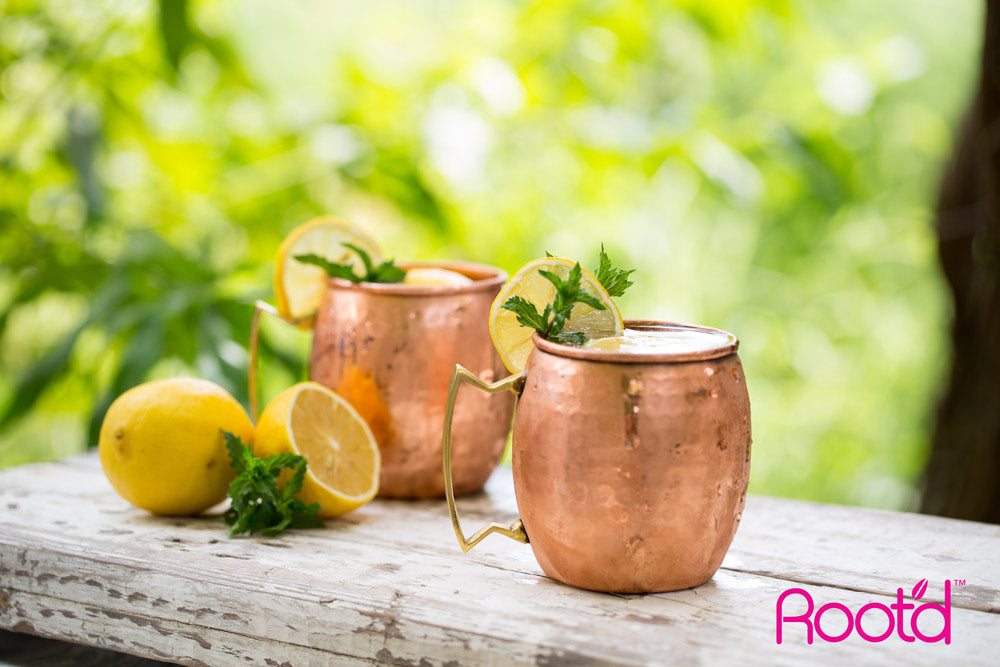 Prenatal Moscow Mule Mocktail