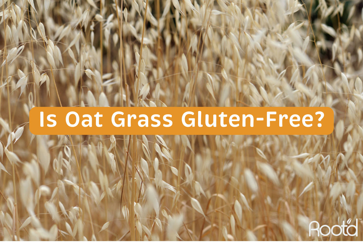 Is Oat Grass Gluten-Free?