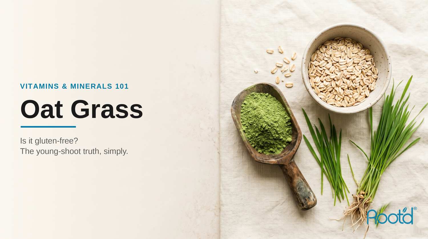 Is oat grass gluten-free? Oat grass, oat grass powder and rolled oats on a cream surface (Root'd)