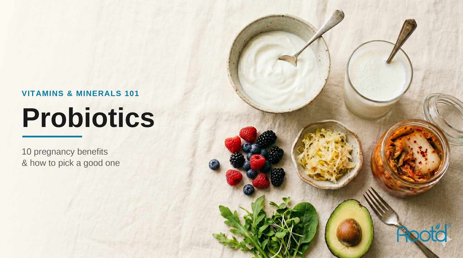 Probiotic-rich pregnancy foods flat-lay: yogurt, kefir, sauerkraut, kimchi, berries and greens — 10 benefits of probiotics during pregnancy (Root'd)